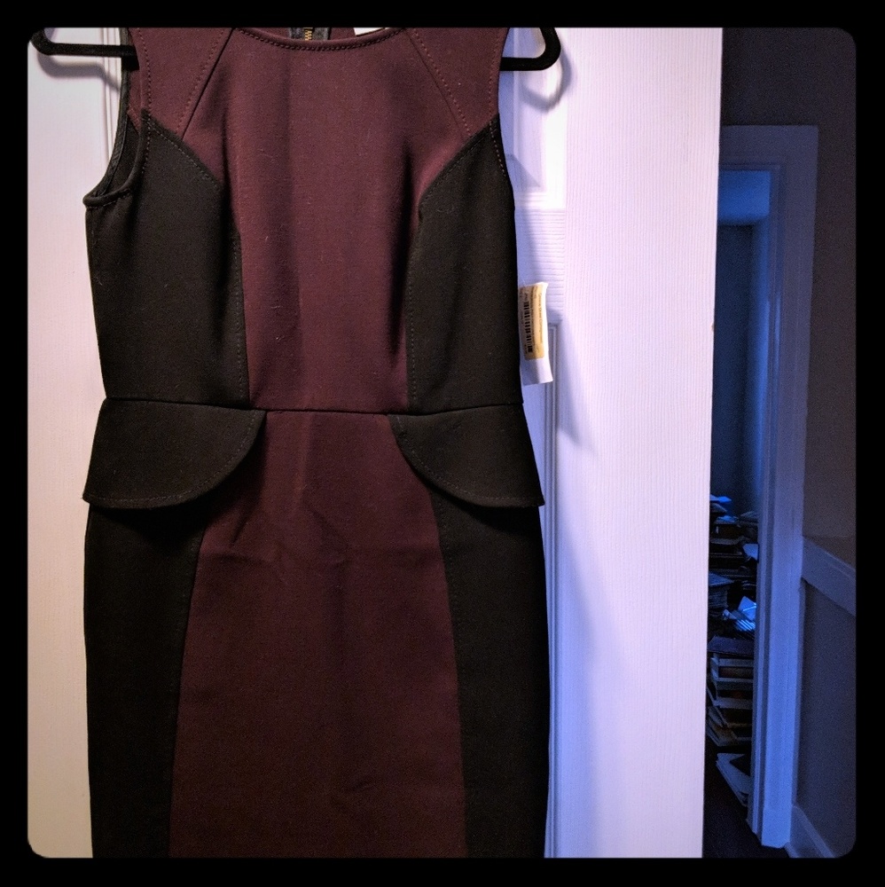 Form loving Ann Taylor Loft Dress